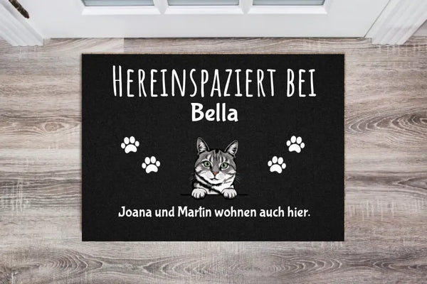 Fußmatte Schmutzfangmatte Wunschtext Katzen personalisiert F229