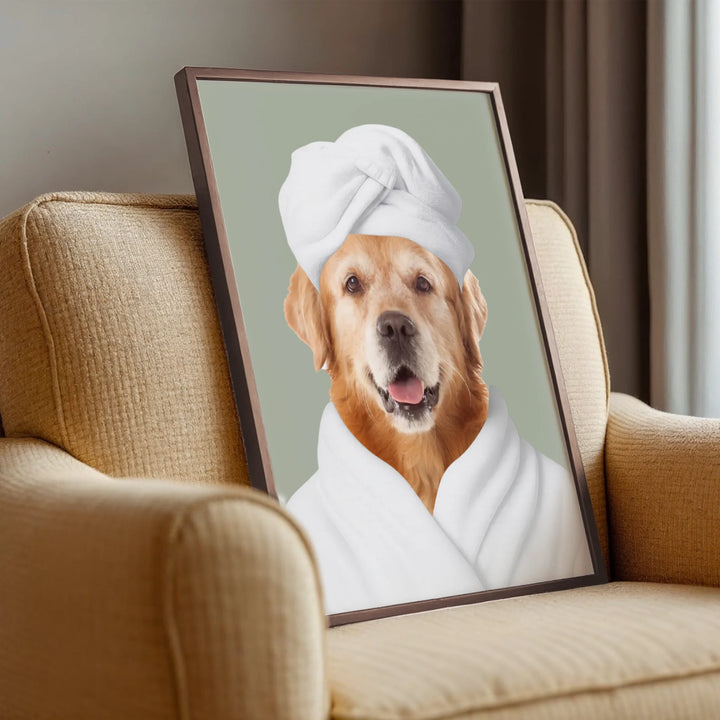 498 bg