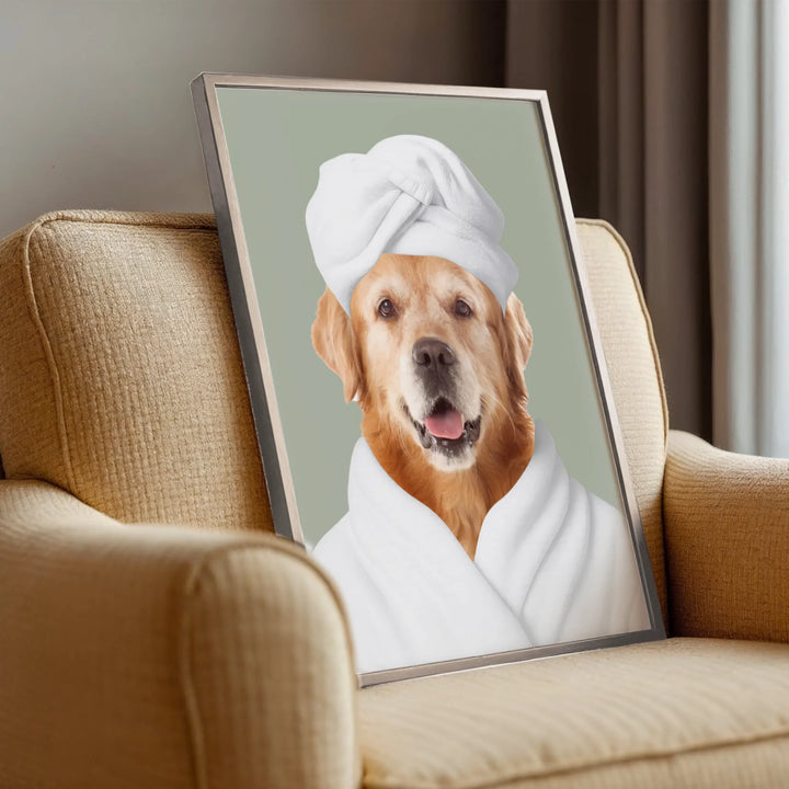 498 bg